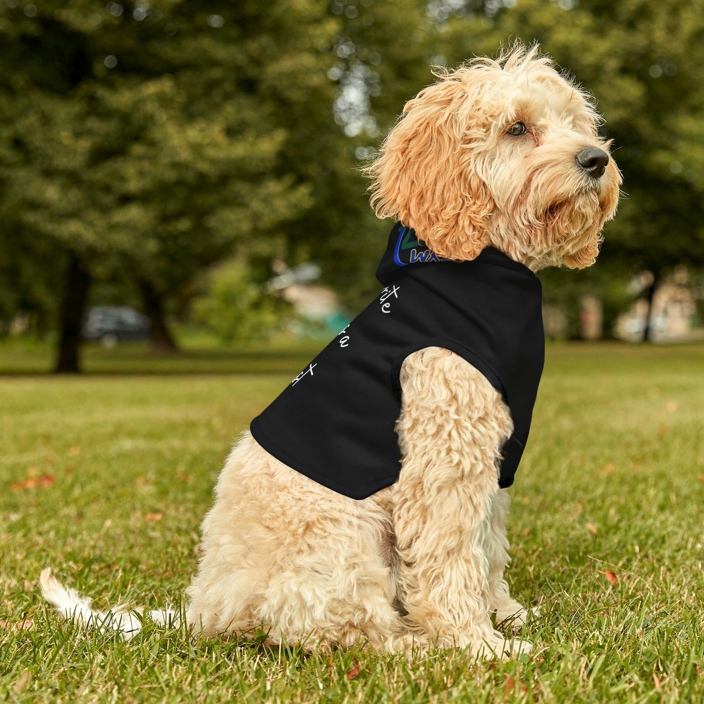 My favorite human is a gymnast Dog Hoodie